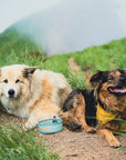 Hydrapak Bol pliable pour chien 500 ml