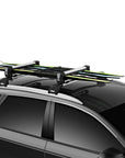 Thule SnowPack M