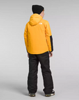 The North Face Veste Freedom Extreme (Junior)