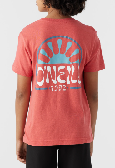 O'Neill T-Shirt Huckleberry