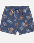 Hurley Maillot CannonBall Volley