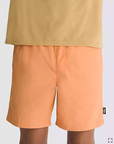 Vans Short Primary Solid