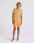 Vans Short Primary Solid