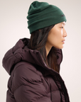 Arc'teryx Tuque Word