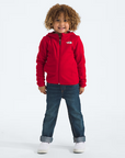 The North Face Polar Glacier FZ