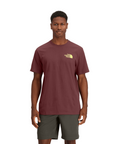 The North Face T-Shirt Public Lands Cactus