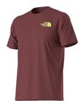 The North Face T-Shirt Public Lands Cactus