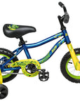 AVP K12