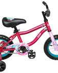 AVP K12
