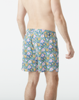 Picture Boardshort Piau 15