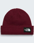 The North Face Tuque Salty Lined