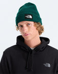 The North Face Tuque Salty Lined