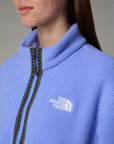 The North Face Polar Fleeski 1/4 Zip