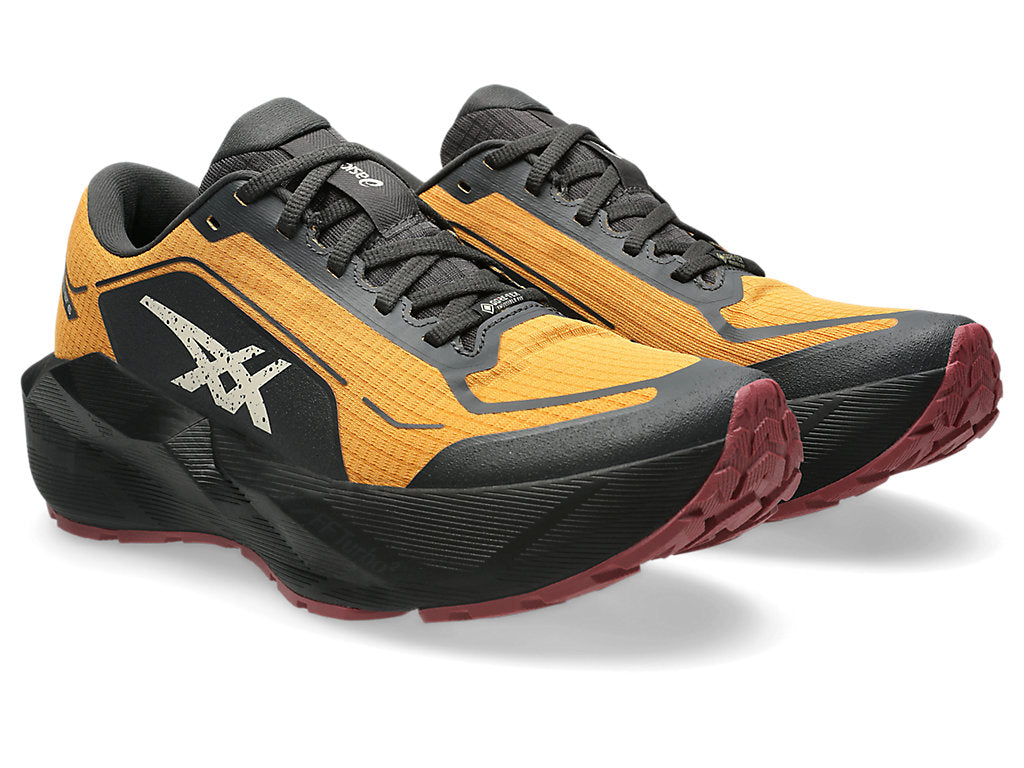 Asics Chaussure Novablast 6 GTX