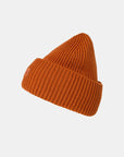Helly Hansen Tuque Rib Beanie