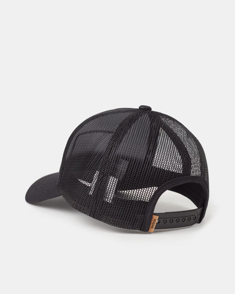 Tentree Casquette Altitude Forest Sun