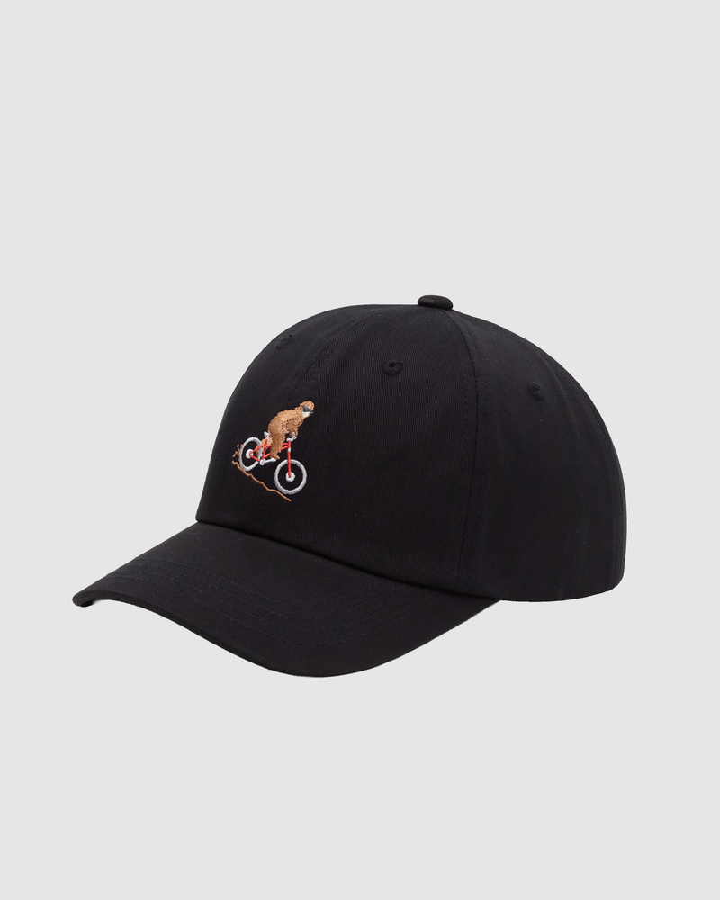 Tentree Casquette Sasquatch Peak