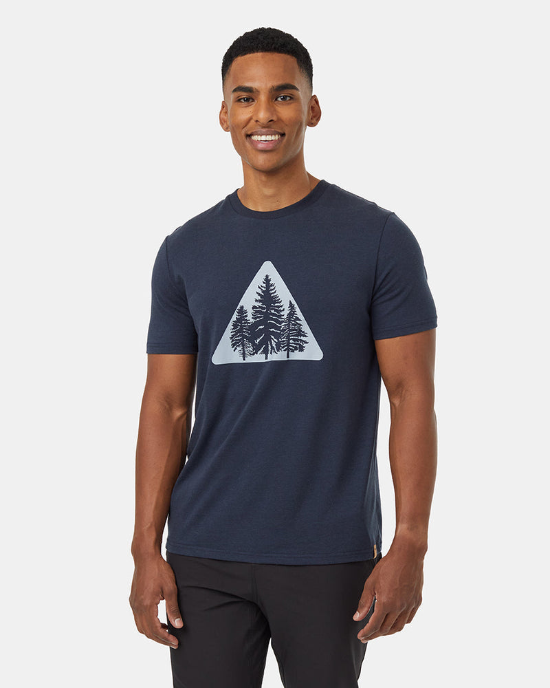 TenTree Pine Trio