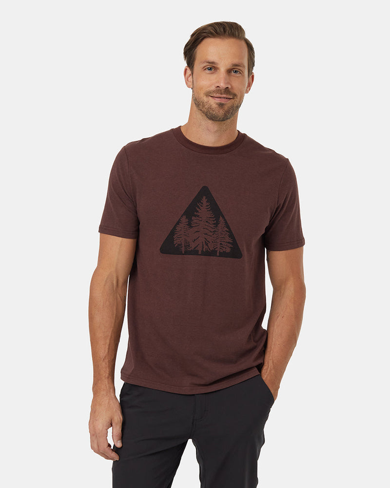 TenTree Pine Trio