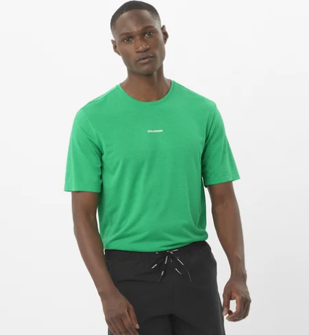 Salomon T-Shirt SHAKEout Core Homme