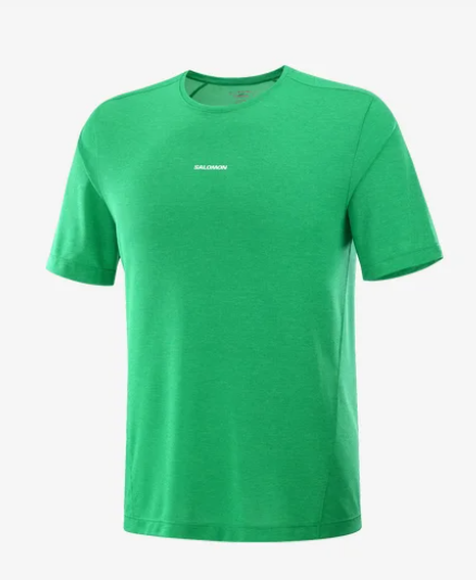 Salomon T-Shirt SHAKEout Core Homme