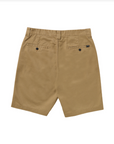 Billabong Short Carter