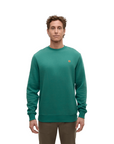 Tentree Chandail Reynard