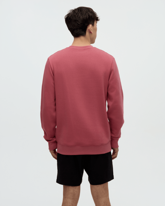 Tentree Chandail Reynard