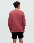 Tentree Chandail Reynard