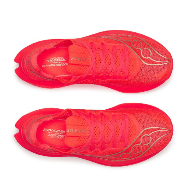 Saucony Chaussure Endorphin Pro 5