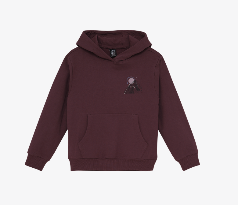 Color Kids Coton-Ouaté Sweat Hoodie (2 à 8 ans)