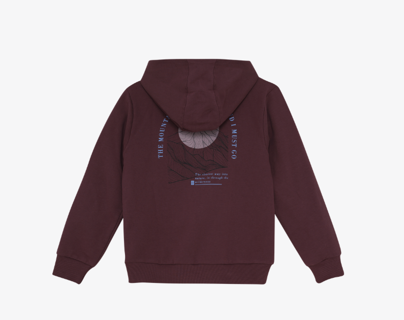Color Kids Coton-Ouaté Sweat Hoodie (2 à 8 ans)