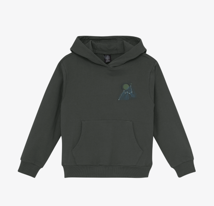 Color Kids Coton-Ouaté Sweat Hoodie (2 à 8 ans)