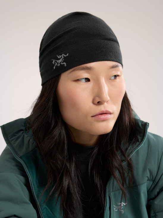 Arc'teryx Tuque Rho Lightweight