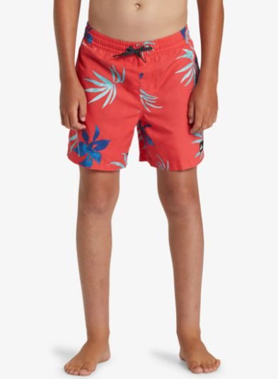 Quiksilver Short Everyway Mix Volley (8 à 16 ans)