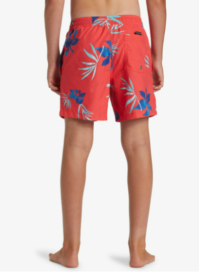 Quiksilver Short Everyway Mix Volley (8 à 16 ans)