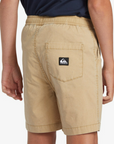 Quiksilver Short Taxer (8 à 16 ans)