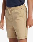 Quiksilver Short Taxer (8 à 16 ans)