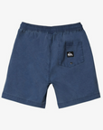 Quiksilver Short Taxer (8 à 16 ans)