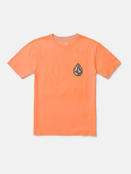 Volcom T-Shirt Flames Sst