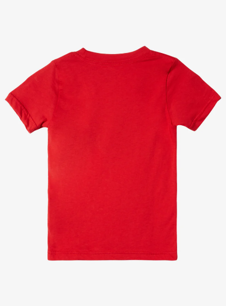 Quiksilver T-Shirt Argosy