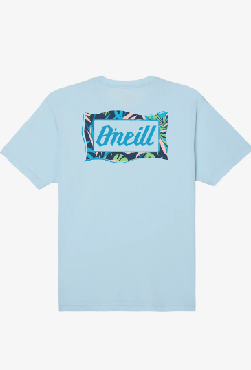 O'neill T-Shirt Burnout