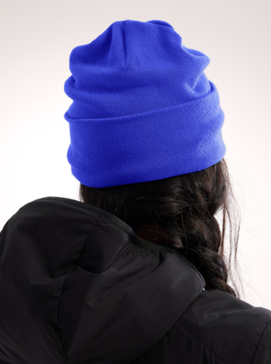 Arc'teryx Tuque Word