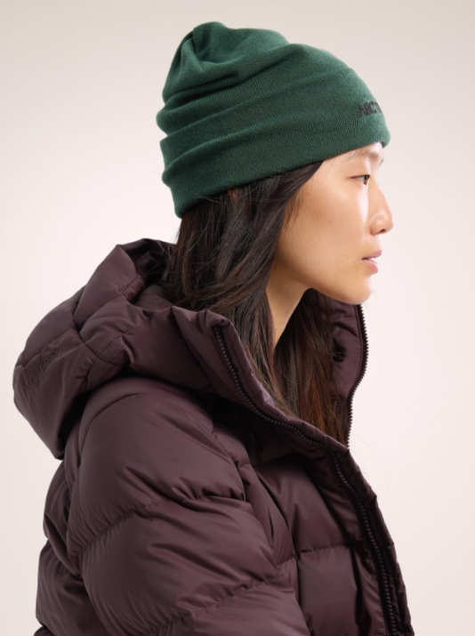 Arc'teryx Tuque Word