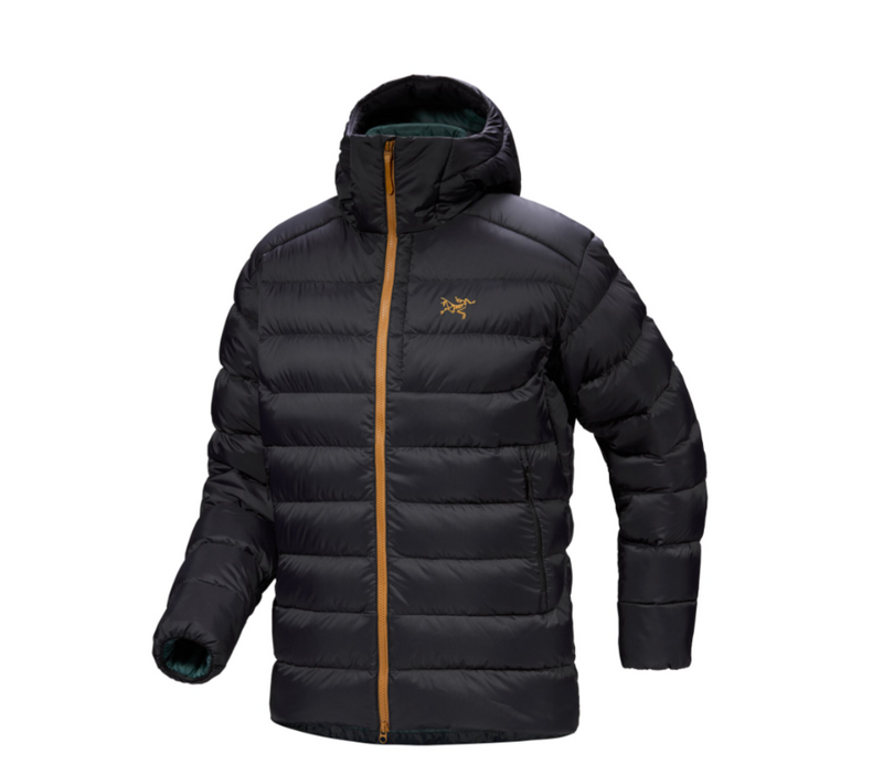 Arc'teryx Veste Thorium