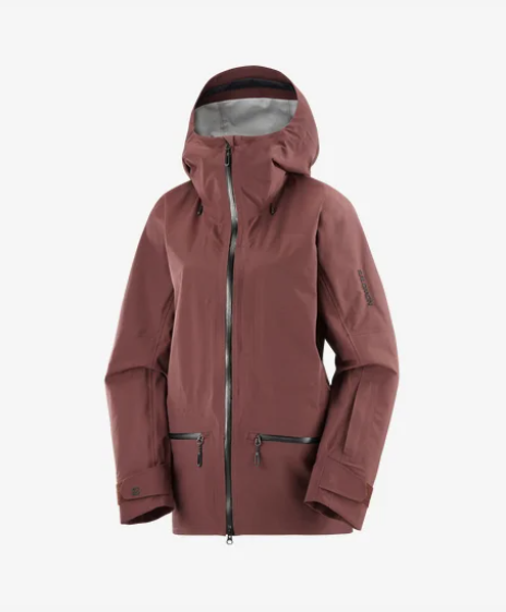 Salomon Manteau Absolute 3L Femme