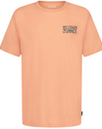 Billabong T-Shirt Heritage Arch (2 à 7 ans)