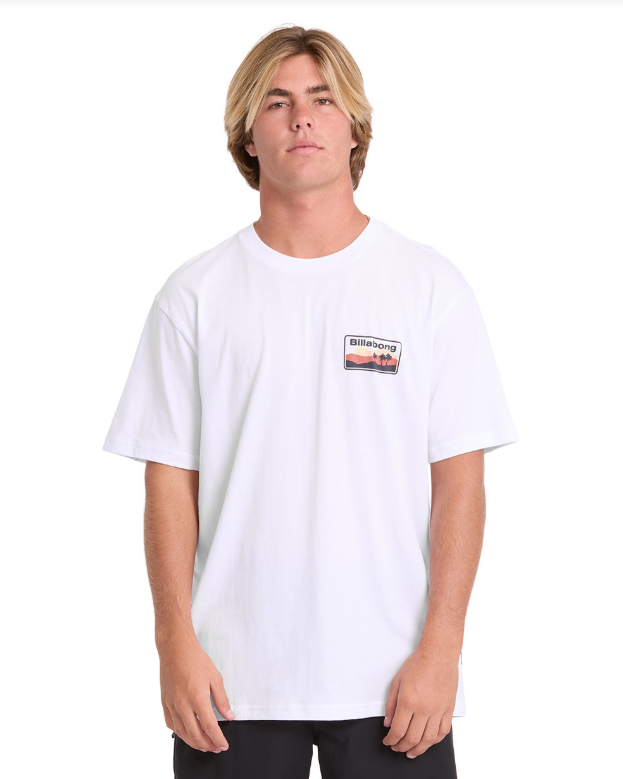 Billabong T-Shirt Adiv Range