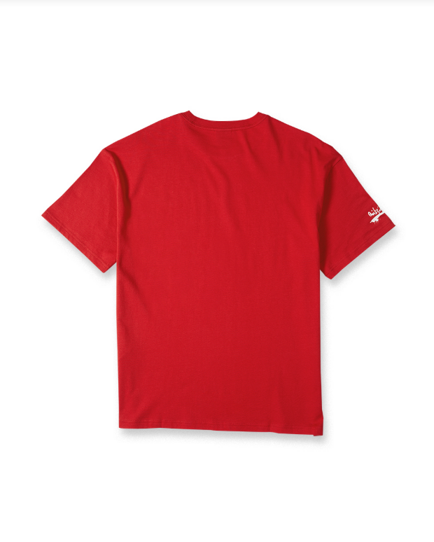 Quiksilver T-Shirt Echo