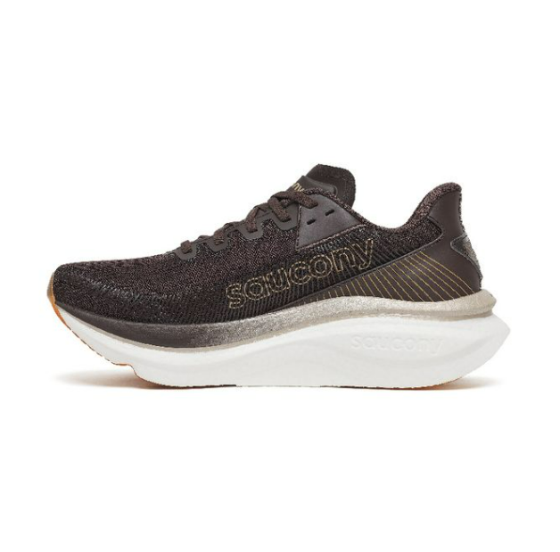 Saucony Chaussure Endorphin Speed 5